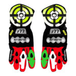 Andrea Iannonebest Motorcycle Gloves SBK 2024