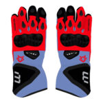 Fabio Di Giannantonio Gloves Motogp 2023