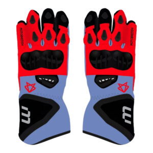 Fabio Di Giannantonio Gloves Motogp 2023