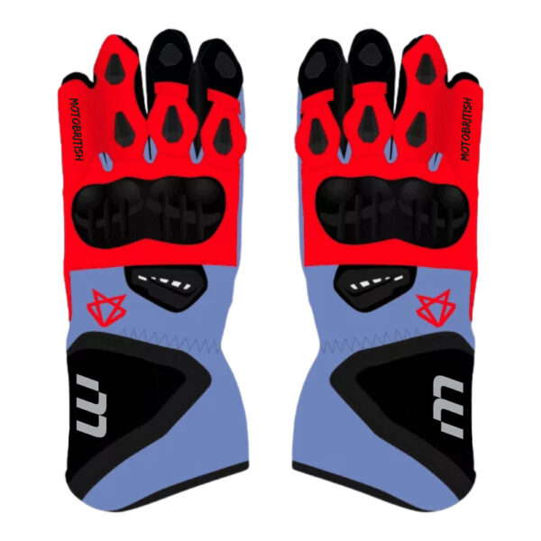 Fabio Di Giannantonio Gloves Motogp 2023