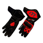 Francesco Bagnaia Gloves Motogp 2023