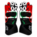 Johann Zarco Motorcycle Racing Gloves Motogp 2024