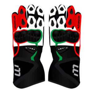 Johann Zarco Motorcycle Racing Gloves Motogp 2024