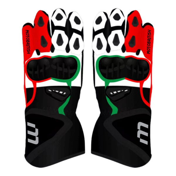 Johann Zarco Motorcycle Racing Gloves Motogp 2024